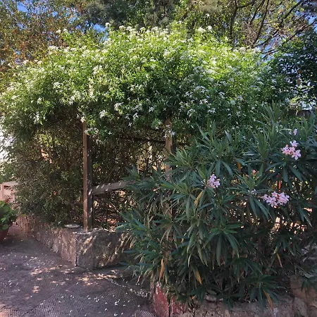 Hotel Trullo Bonaventura
